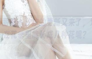 Ligui丽柜 – 汐汐的更新又来了，双生花在花季里能长成几种花呢？
