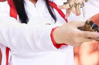 MiiTao蜜桃社 – 许思铭日常的一些在线图集：说实话，我也才看了部份。