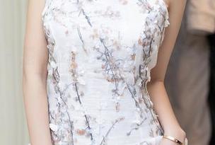 秀人网 – 楚恬Olivia女神的免费资源，刷新我对美的认知。